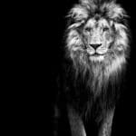 shutterstock 317709479 Custom 1160x700 1
