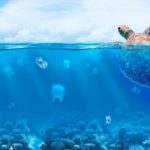 sociolus medasset καθαρές θάλασσες επίσημος συνεργάτης 1160x579 1